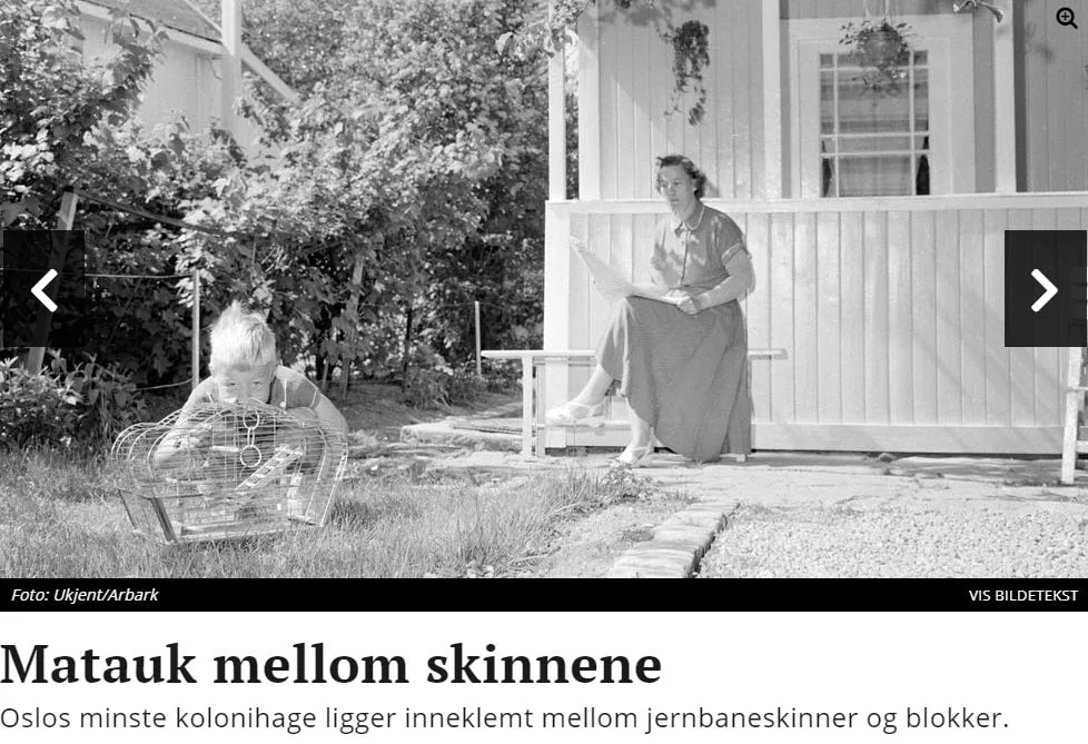bilde fra Dagsavisen 2019