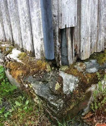 Image description